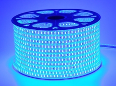 Đèn led dây mạch đôi chip 2835 220V ánh sáng xanh và đa sắc (28.200đ/m, cuộn 100m)